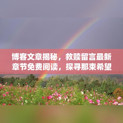 博客文章揭秘，救贖留言最新章節(jié)免費閱讀，探尋那束希望之光