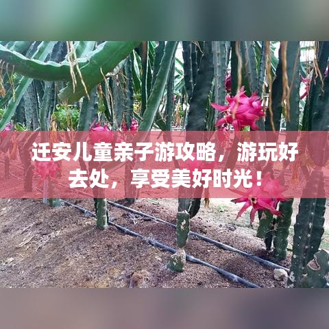 遷安兒童親子游攻略，游玩好去處，享受美好時光！