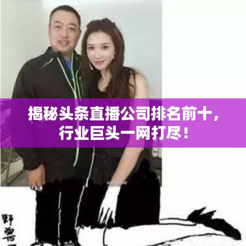 揭秘頭條直播公司排名前十，行業(yè)巨頭一網(wǎng)打盡！