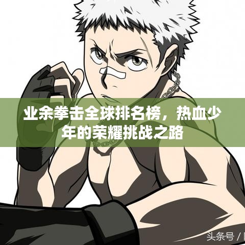 業(yè)余拳擊全球排名榜，熱血少年的榮耀挑戰(zhàn)之路