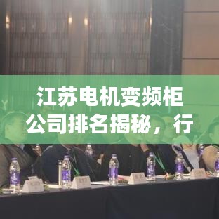 江蘇電機(jī)變頻柜公司排名揭秘，行業(yè)領(lǐng)軍者的成功奧秘探索