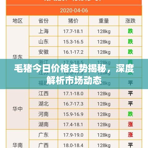 毛豬今日價格走勢揭秘，深度解析市場動態(tài)