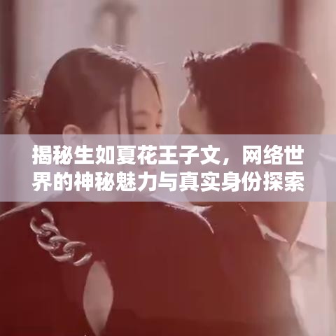 揭秘生如夏花王子文，網絡世界的神秘魅力與真實身份探索