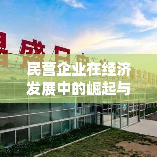 民營(yíng)企業(yè)在經(jīng)濟(jì)發(fā)展中的崛起與貢獻(xiàn)，新聞?lì)^條揭秘其力量