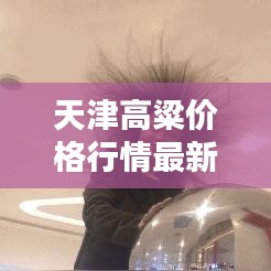 天津高粱價(jià)格行情最新走勢(shì)解析