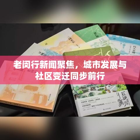 老閔行新聞聚焦，城市發(fā)展與社區(qū)變遷同步前行