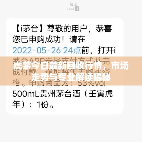 虎茅今日最新回收行情，市場走勢與專業(yè)解讀揭秘