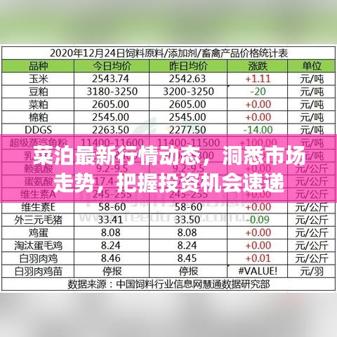 菜泊最新行情動(dòng)態(tài)，洞悉市場(chǎng)走勢(shì)，把握投資機(jī)會(huì)速遞
