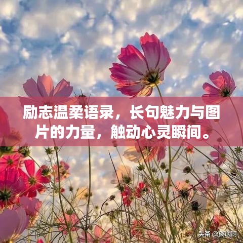 勵志溫柔語錄，長句魅力與圖片的力量，觸動心靈瞬間。
