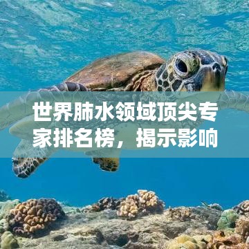 世界肺水領(lǐng)域頂尖專家排名榜，揭示影響力與貢獻的權(quán)威榜單
