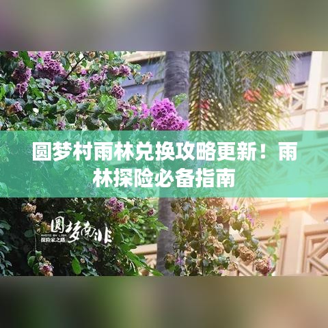 圓夢(mèng)村雨林兌換攻略更新！雨林探險(xiǎn)必備指南