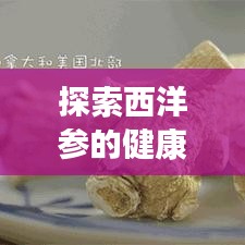 探索西洋參的健康奧秘，食用方法與功效全解析