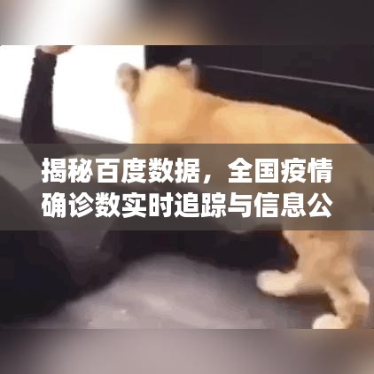 揭秘百度數(shù)據(jù)，全國疫情確診數(shù)實時追蹤與信息公開
