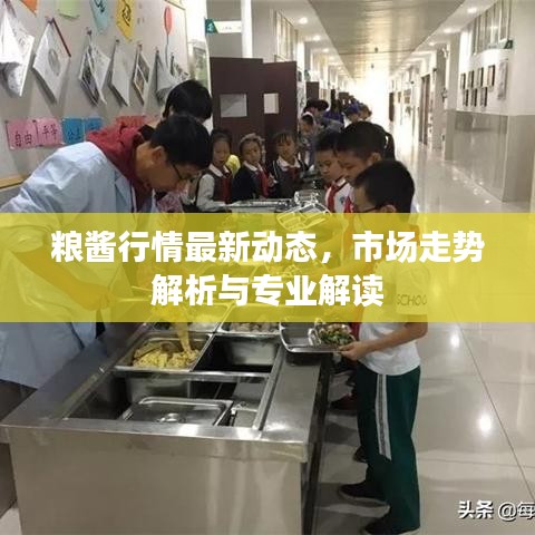 糧醬行情最新動態(tài)，市場走勢解析與專業(yè)解讀