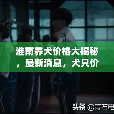 淮南養(yǎng)犬價(jià)格大揭秘，最新消息，犬只價(jià)格查詢！