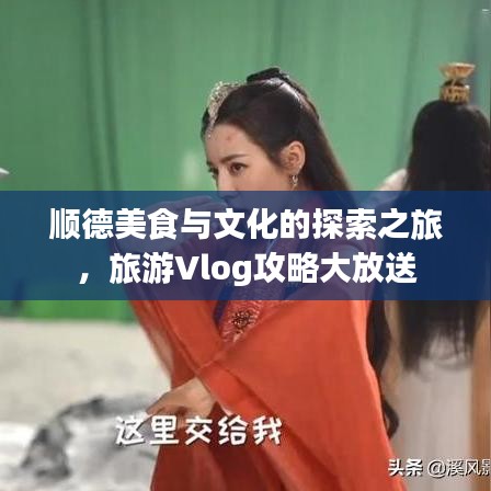 順德美食與文化的探索之旅，旅游Vlog攻略大放送