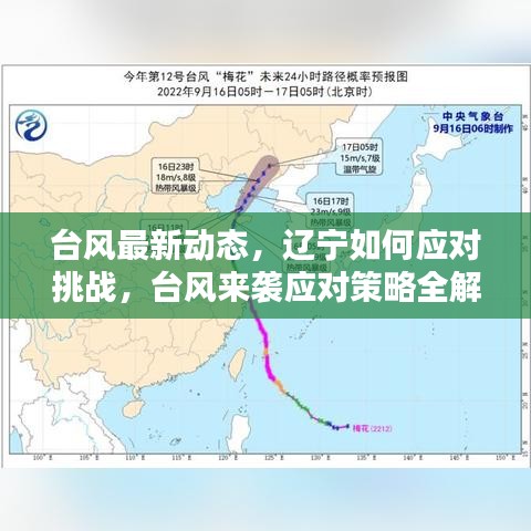 臺風最新動態(tài)，遼寧如何應對挑戰(zhàn)，臺風來襲應對策略全解析
