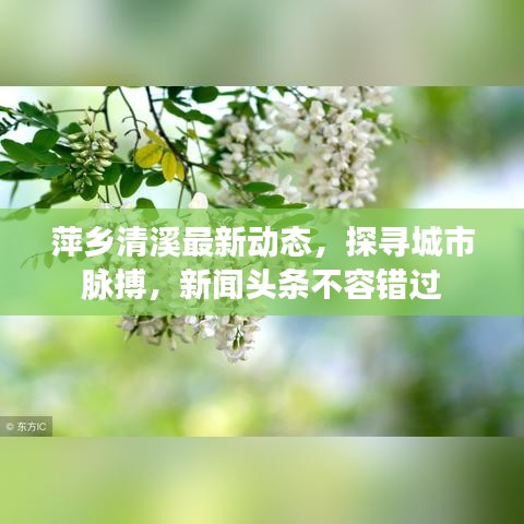 萍鄉(xiāng)清溪最新動(dòng)態(tài)，探尋城市脈搏，新聞?lì)^條不容錯(cuò)過(guò)