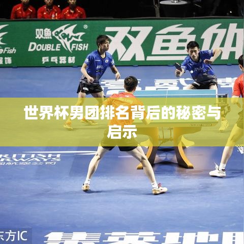 世界杯男團(tuán)排名背后的秘密與啟示