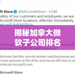 揭秘加拿大微軟子公司排名及全球業(yè)務(wù)影響力不容小覷