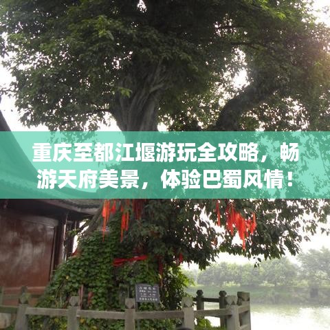 重慶至都江堰游玩全攻略，暢游天府美景，體驗巴蜀風(fēng)情！