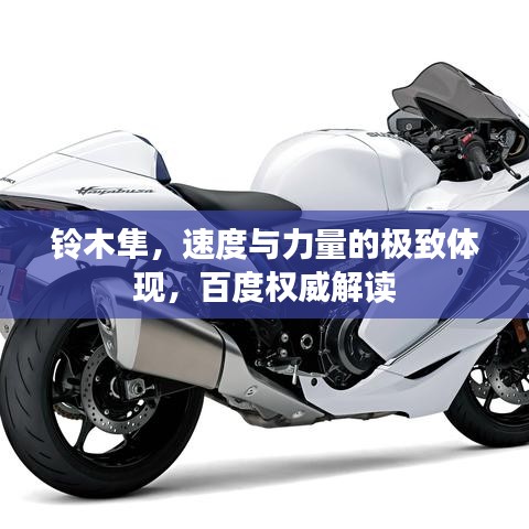 鈴木隼，速度與力量的極致體現(xiàn)，百度權(quán)威解讀