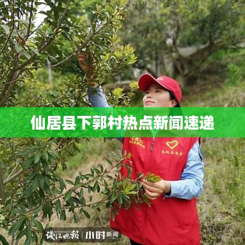 仙居縣下郭村熱點(diǎn)新聞速遞