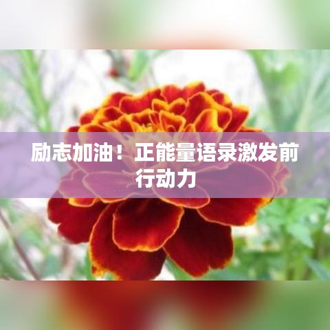 勵志加油！正能量語錄激發(fā)前行動力