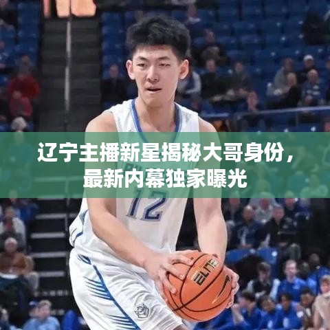 遼寧主播新星揭秘大哥身份，最新內幕獨家曝光