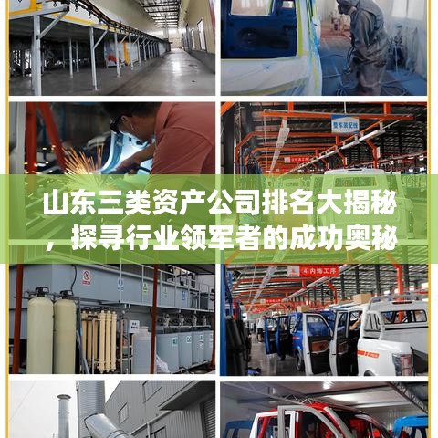 山東三類資產(chǎn)公司排名大揭秘，探尋行業(yè)領軍者的成功奧秘！