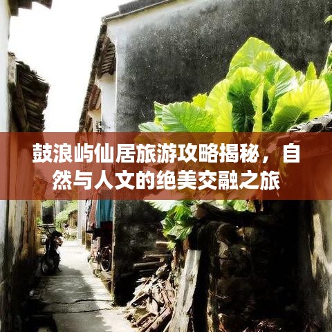 鼓浪嶼仙居旅游攻略揭秘，自然與人文的絕美交融之旅
