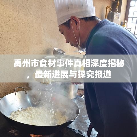 禹州市食材事件真相深度揭秘，最新進(jìn)展與探究報(bào)道