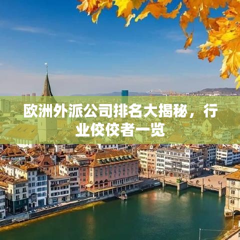 歐洲外派公司排名大揭秘，行業(yè)佼佼者一覽