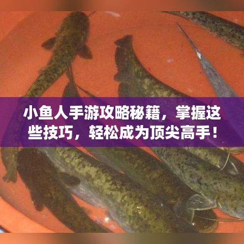 小魚人手游攻略秘籍，掌握這些技巧，輕松成為頂尖高手！