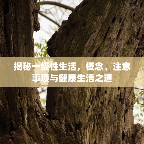 揭秘一級性生活，概念、注意事項與健康生活之道