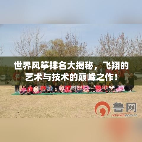 世界風(fēng)箏排名大揭秘，飛翔的藝術(shù)與技術(shù)的巔峰之作！