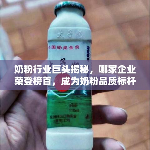 奶粉行業(yè)巨頭揭秘，哪家企業(yè)榮登榜首，成為奶粉品質(zhì)標(biāo)桿？