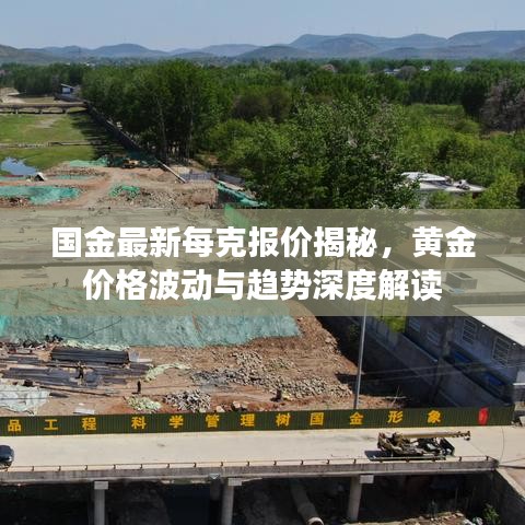 國(guó)金最新每克報(bào)價(jià)揭秘，黃金價(jià)格波動(dòng)與趨勢(shì)深度解讀