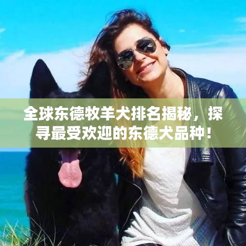 全球東德牧羊犬排名揭秘，探尋最受歡迎的東德犬品種！