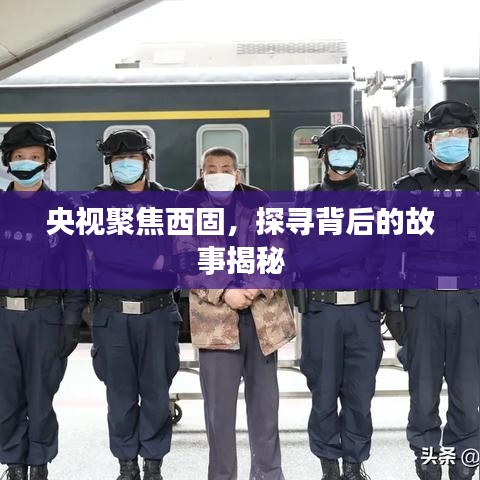 央視聚焦西固，探尋背后的故事揭秘