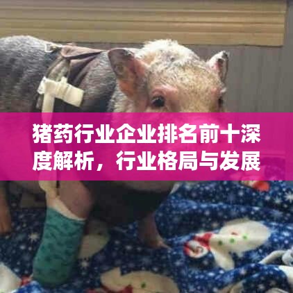 豬藥行業(yè)企業(yè)排名前十深度解析，行業(yè)格局與發(fā)展趨勢展望