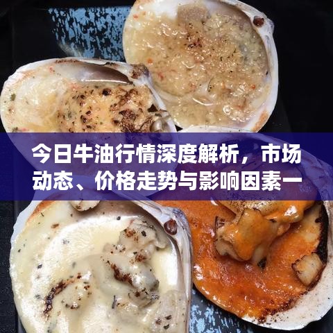 今日牛油行情深度解析，市場動態(tài)、價格走勢與影響因素一網打盡