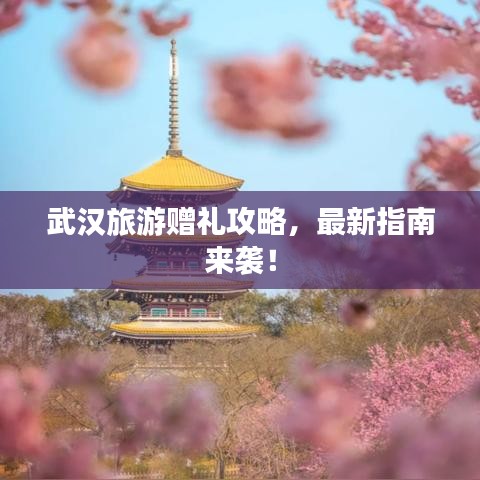 武漢旅游贈禮攻略，最新指南來襲！