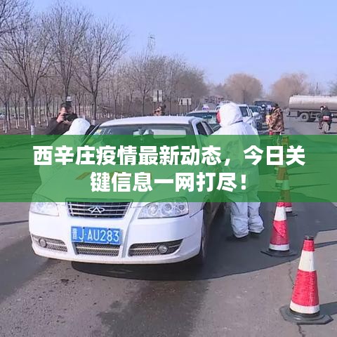 西辛莊疫情最新動(dòng)態(tài)，今日關(guān)鍵信息一網(wǎng)打盡！