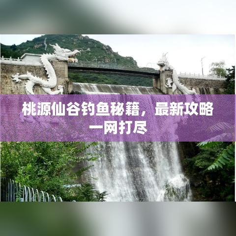 桃源仙谷釣魚秘籍，最新攻略一網(wǎng)打盡