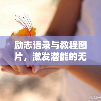 勵志語錄與教程圖片，激發(fā)潛能的無限力量之源