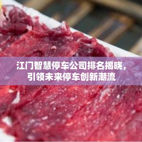 江門智慧停車公司排名揭曉，引領(lǐng)未來停車創(chuàng)新潮流