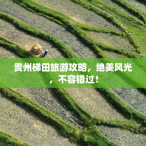 貴州梯田旅游攻略，絕美風光，不容錯過！