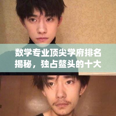 數(shù)學專業(yè)頂尖學府排名揭秘，獨占鰲頭的十大學府解讀