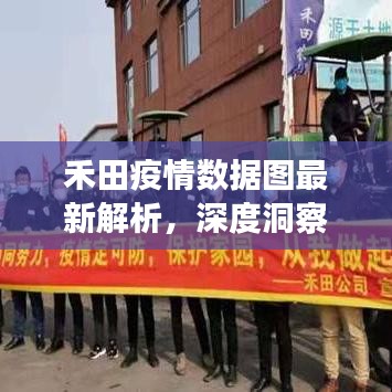 禾田疫情數(shù)據(jù)圖最新解析，深度洞察，全面掌握最新動(dòng)態(tài)
